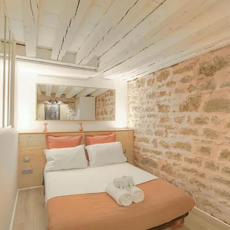 Duplex De Caractere En Hypercentre Apartment Lyon Exterior photo