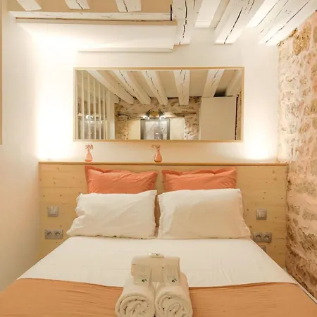 Duplex De Caractere En Hypercentre Apartment Lyon Exterior photo