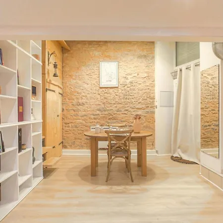 Duplex De Caractere En Hypercentre Apartment Lyon Exterior photo