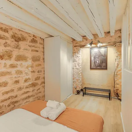 Duplex De Caractere En Hypercentre Apartment Lyon Exterior photo