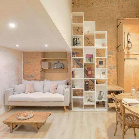 Duplex De Caractere En Hypercentre Apartment Lyon Exterior photo