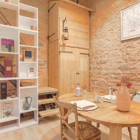 Duplex De Caractere En Hypercentre Apartment Lyon Exterior photo